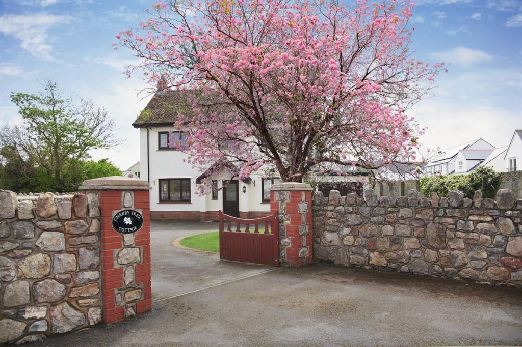 Cherry Tree Cottage - Charming entrance with beautiful cherry blossom tree